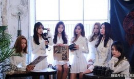 归国女团成员爆料事件视频,揭秘娱乐圈背后真相