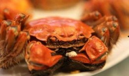 网友爆料双壳蟹视频大全,网友爆料，海洋美味背后的秘密