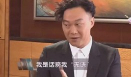 陈奕迅爆料采访视频大全,揭秘采访视频背后的故事与感悟